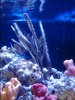 20150514_152105.jpg 20150514_152105.jpg