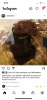 D73D599F-DBC0-456D-9F13-D7A16482F0A3.png