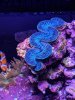 PXL_20201129_004905155.jpg