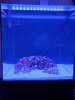 20201219_170943.jpg