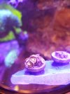 20210302_094754.jpg