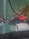 123_1(10).jpeg