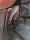 123_1(17).jpeg