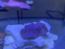 6622BDEA-F040-4265-BA50-7F61979D0F47.jpeg