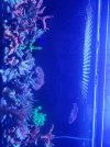 20210514_092131.jpg