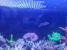 20210514_092137.jpg