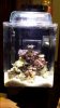 20151030_143411.jpg