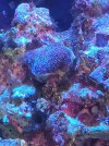 20210831_150756.jpg