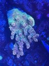 5EA14587-BE86-471D-BF86-DE2EAE53F643.jpeg