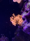 F22858E2-85E5-44C4-AEBF-E84F1CE83F07.jpeg