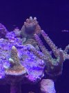 AA9929E0-B376-405E-82AC-F2B4417B25B9.jpeg