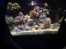 IMG_0917.jpeg