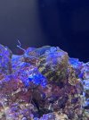 IMG_0835.jpeg