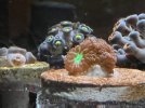 IMG_0879.jpeg