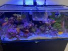 reef photos1.jpg