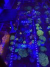 3E1B5236-F80A-4E3D-99C2-BE543AC473DB.jpeg