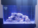 skyward aquarium PAR.jpg