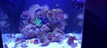 20220528_125628.jpg