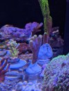 PXL_20220720_230001738.jpg