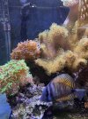 IMG_1941.jpeg