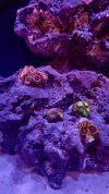 27036E78-748D-403D-B761-94751EE31FD4.jpeg