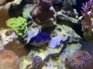 5414F375-97F3-47EB-A006-4B8223E865FF.jpeg