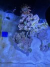 14E93209-3C4C-4F3D-9D12-252B1BD23D78.jpeg