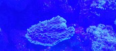 20221223_072419.jpg