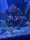 IMG_8159.jpeg
