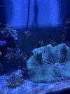 IMG_8160.jpeg