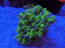 PXL_20230510_182425202.jpg