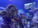 IMG_2244.jpeg