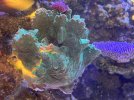IMG_8322.jpeg
