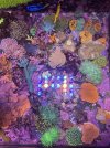 IMG_3275.jpeg