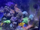 IMG_5987.JPG