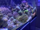 IMG_5995.JPG