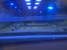 IMG_1094.jpeg