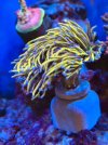 IMG_1182.jpeg