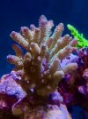 IMG_9859.jpeg