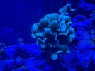 IMG_5296.jpeg