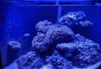 IMG_1861.jpeg