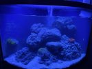IMG_1870.jpeg