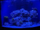 IMG_1922.jpeg