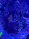 IMG_5642.jpeg