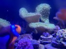 IMG_2619.jpeg