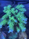 IMG_8506.jpeg