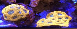 IMG_3971.jpeg