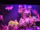 20240531_095700.jpg