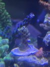 IMG_4586.jpeg