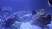 VideoCapture_20240705-203825.jpg